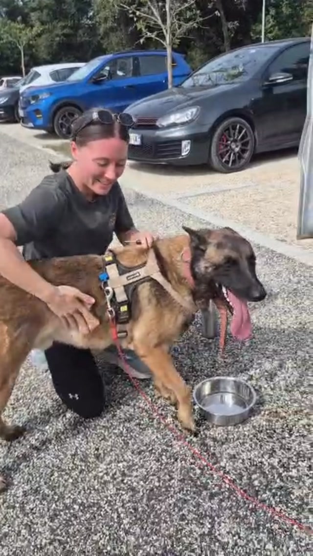 T’zeus a trouvé son humaine ! Notre gentil malou t…