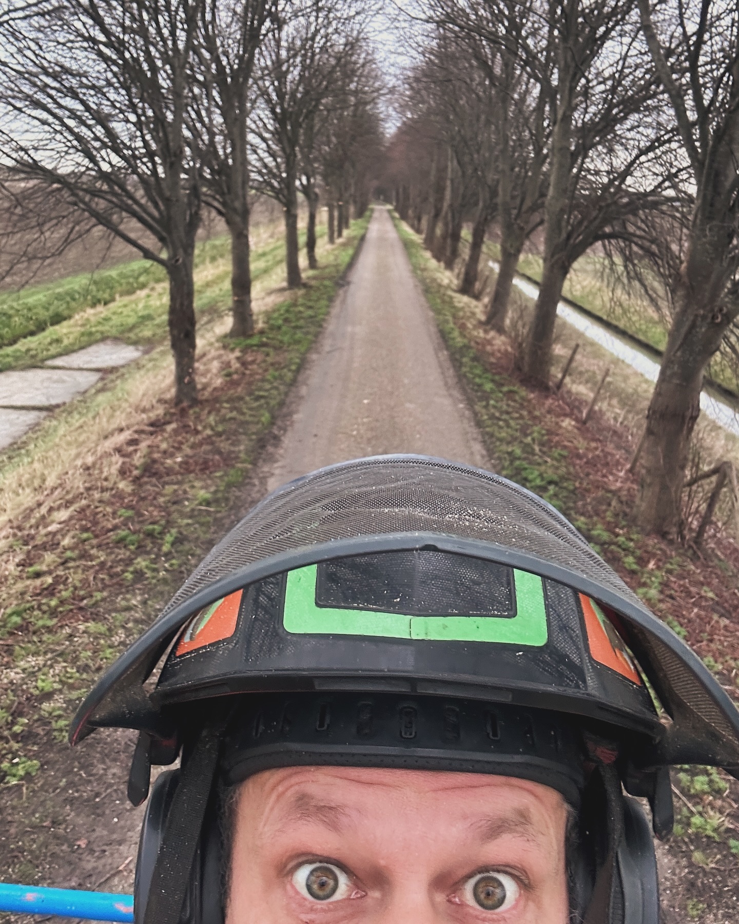 Liesje leerde lotje lopen langs de lange Lindelaan…fijn weekend alvast Houdoe!!!
#treework #moerdijk #noordhoek #tilia