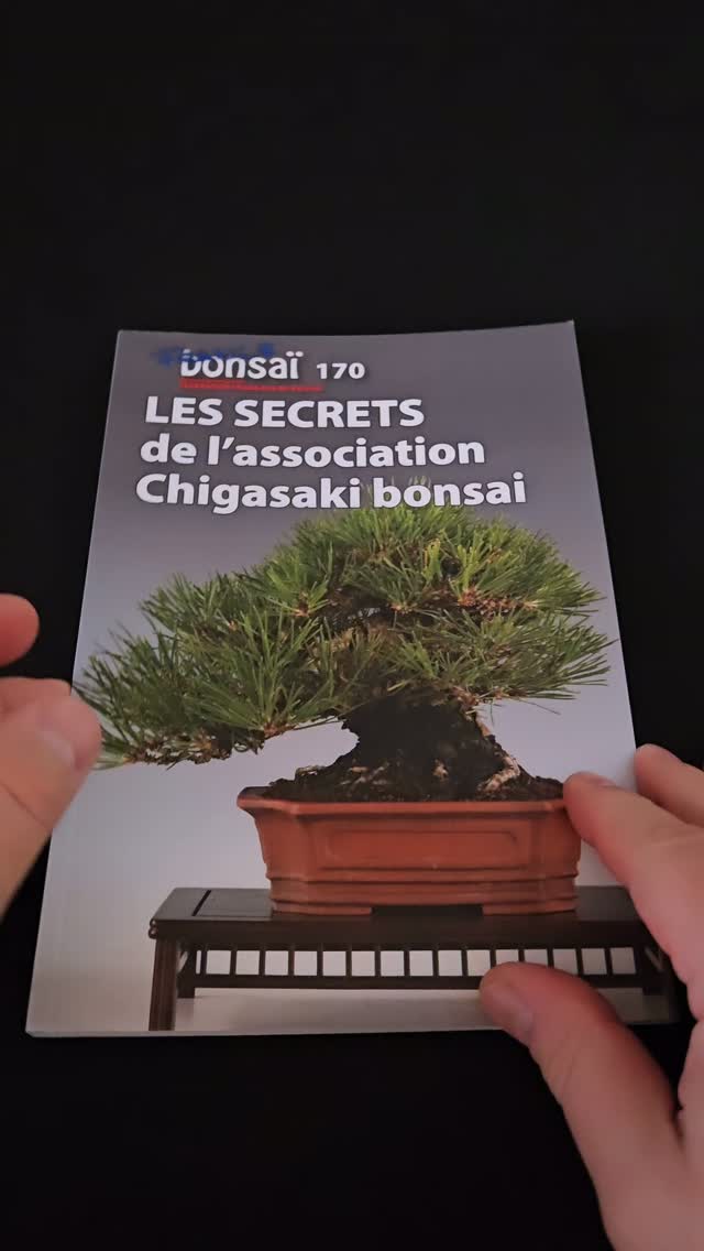 France Bonsaï 170 est disponible. En collaboration avec BONSAÏ CULTURE EXPO 2026