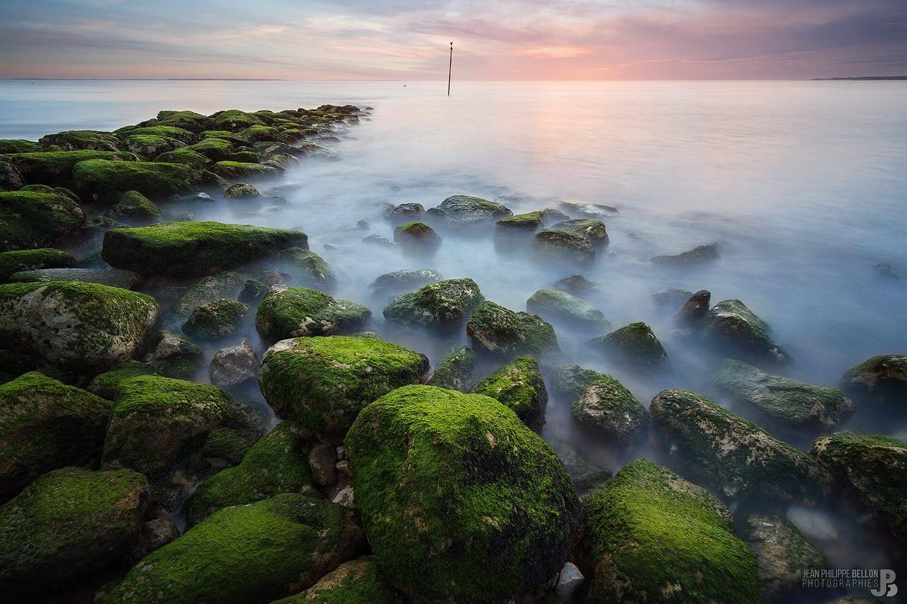 Quand la nature s’exprime, les bons filtres savent se faire oublier.
Dans cette image signée @jeanphilippebellonphotography , la roche recouverte d’algues capte la lumière du couchant avec intensité, tandis que la mer, adoucie par une pose longue parfaitement maîtrisée, enveloppe la scène d’un voile presque irréel.
Pour arriver à ce rendu :
🔹Le filtre Kase ND 64 a permis d étirer le temps pour lisser les mouvements de l’eau.
🔹Le filtre GND 0.9 a équilibré la forte luminosité du ciel au coucher du soleil pour préserver les détails dans les hautes lumières.
Résultat : une composition équilibrée et immersive, qui met en valeur la texture naturelle des roches sans sacrifier la douceur du ciel et de la mer.
📍Le Pyla, France
📸 Canon 600D
🎛️ f/11 • 14mm • 100ISO • 60s
🪟ND 64 + GND 0.9
#kasefiltersfrance #teamkase #kasefiltersglobal #kaseglobal @kase_filters_global @kaseglobal #bassinarcachon #arcachon