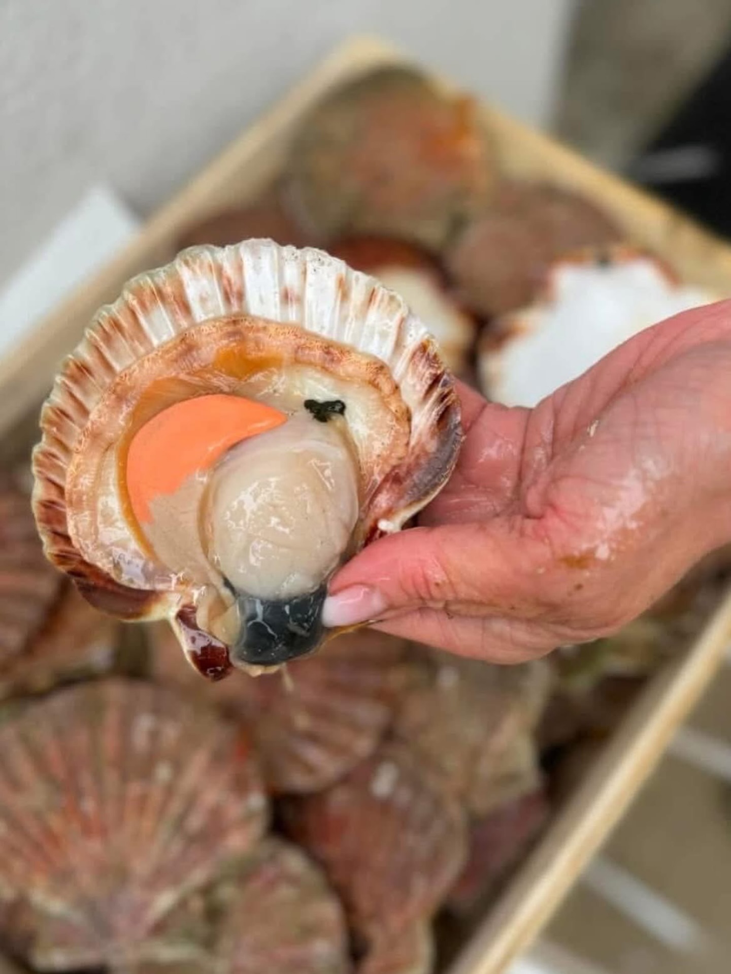 On laisse ceux qui les connaissent en parler…
☺️🥰