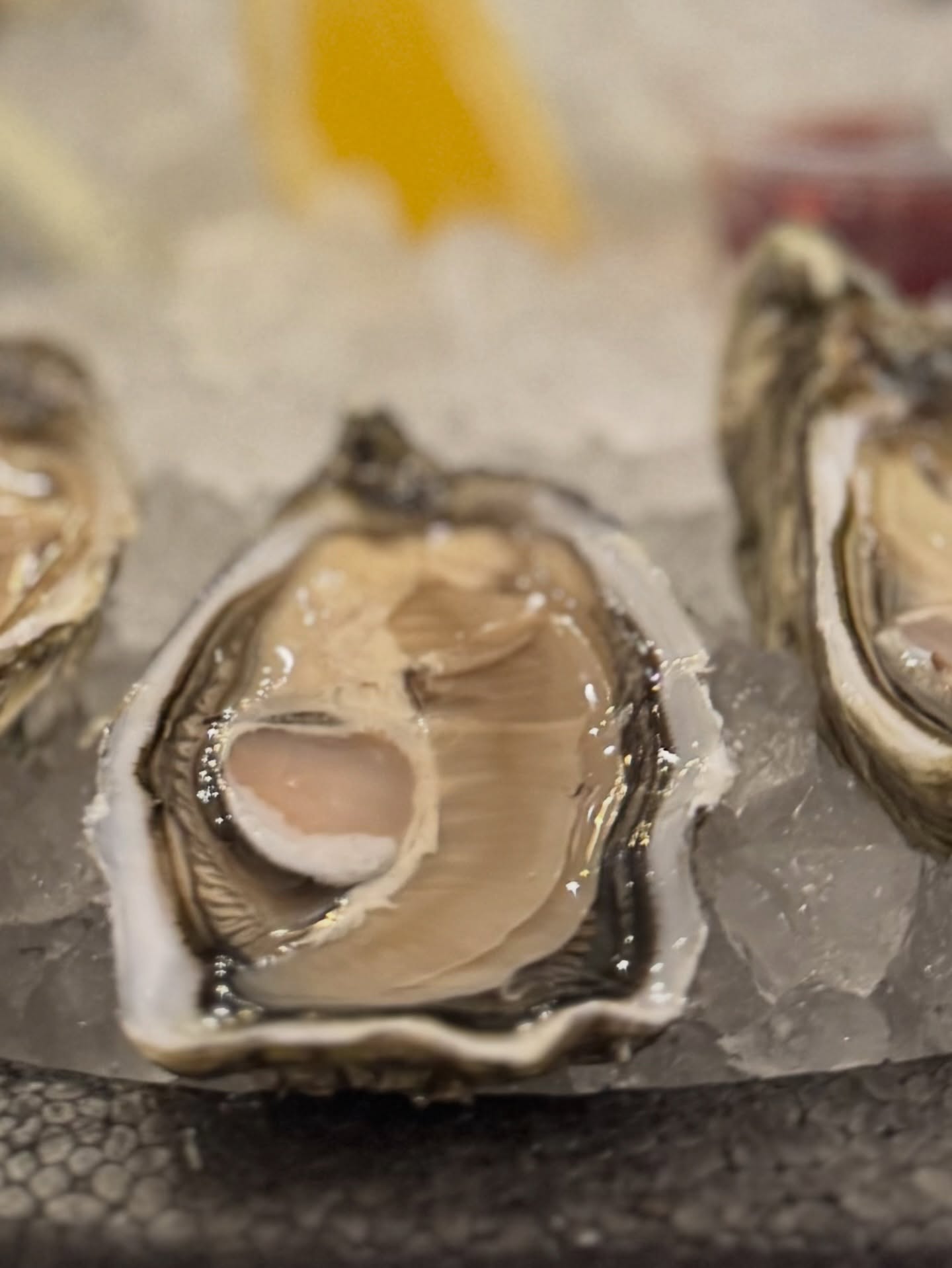 Par 6 ou à la douzaine, si vous êtes amateur d’huîtres, nous avons de quoi satisfaire votre palais…
À tout à l’heure… 🥰😍