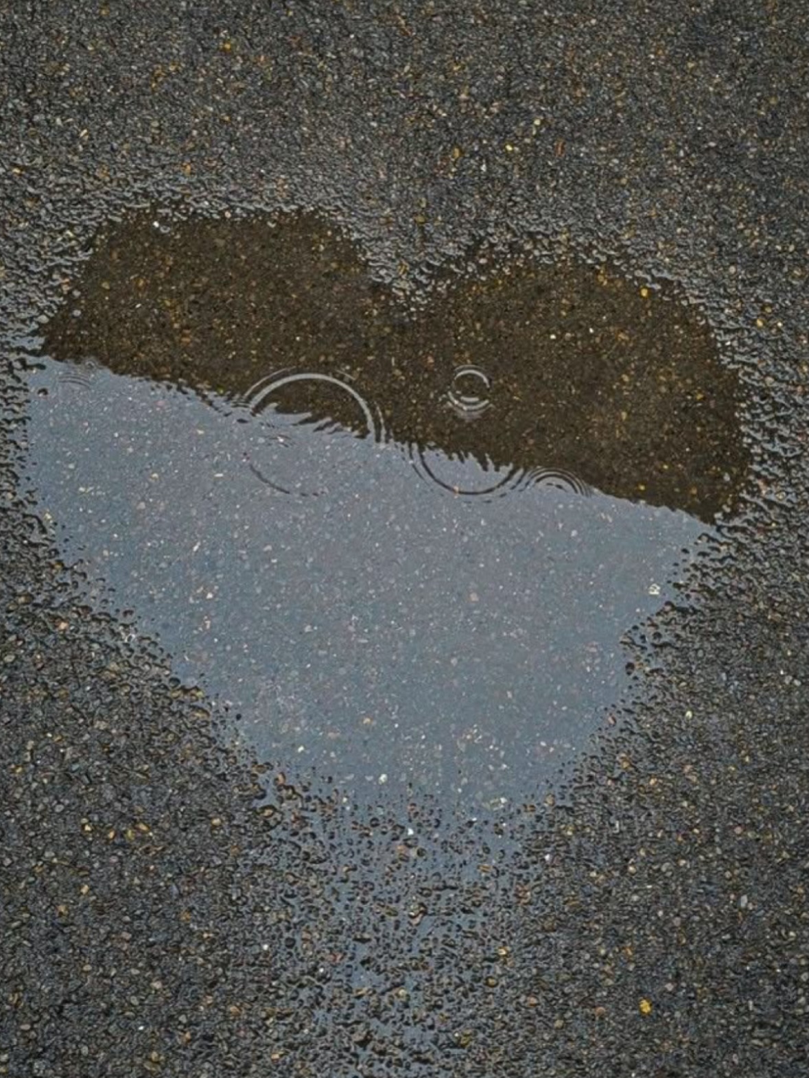 L’amour en famille, en couple, entre amis… et toujours avec la Méditerranée en toile de fond ✨
Toulon, tu sais rendre les week-ends inoubliables. ❤️