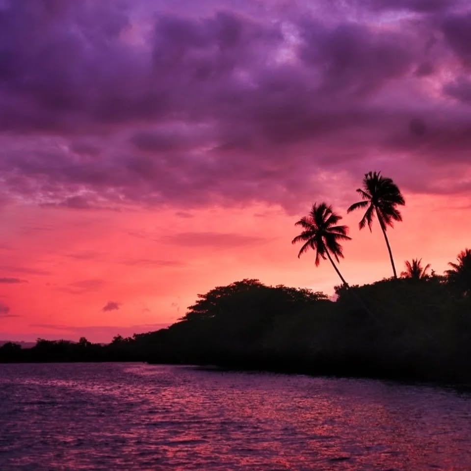 Santo sunsets!
#vanuatuconsulateinbelgium #vanuatu #discovervanuatu #southpacific #melanesia #instatravel #travelgram #beachlife #islandlife #vanuatutourism #vanuatuislands #vanuatumoments #pacificparadise #flyairvanuatu #answerthecallofvanuatu #remoteplaces #traveldestinations #adventuretravel #wanderlust #offgrid #vanuatumoments #sunset #discoversanto #hotelsofvanuatu #hotelsinvanuatu #espiritusanto
📸: @angie_rsll, @vanuatuislands , @gaellia , @matevululodge , @melatonindaydream and @ratuaprivateislandresort