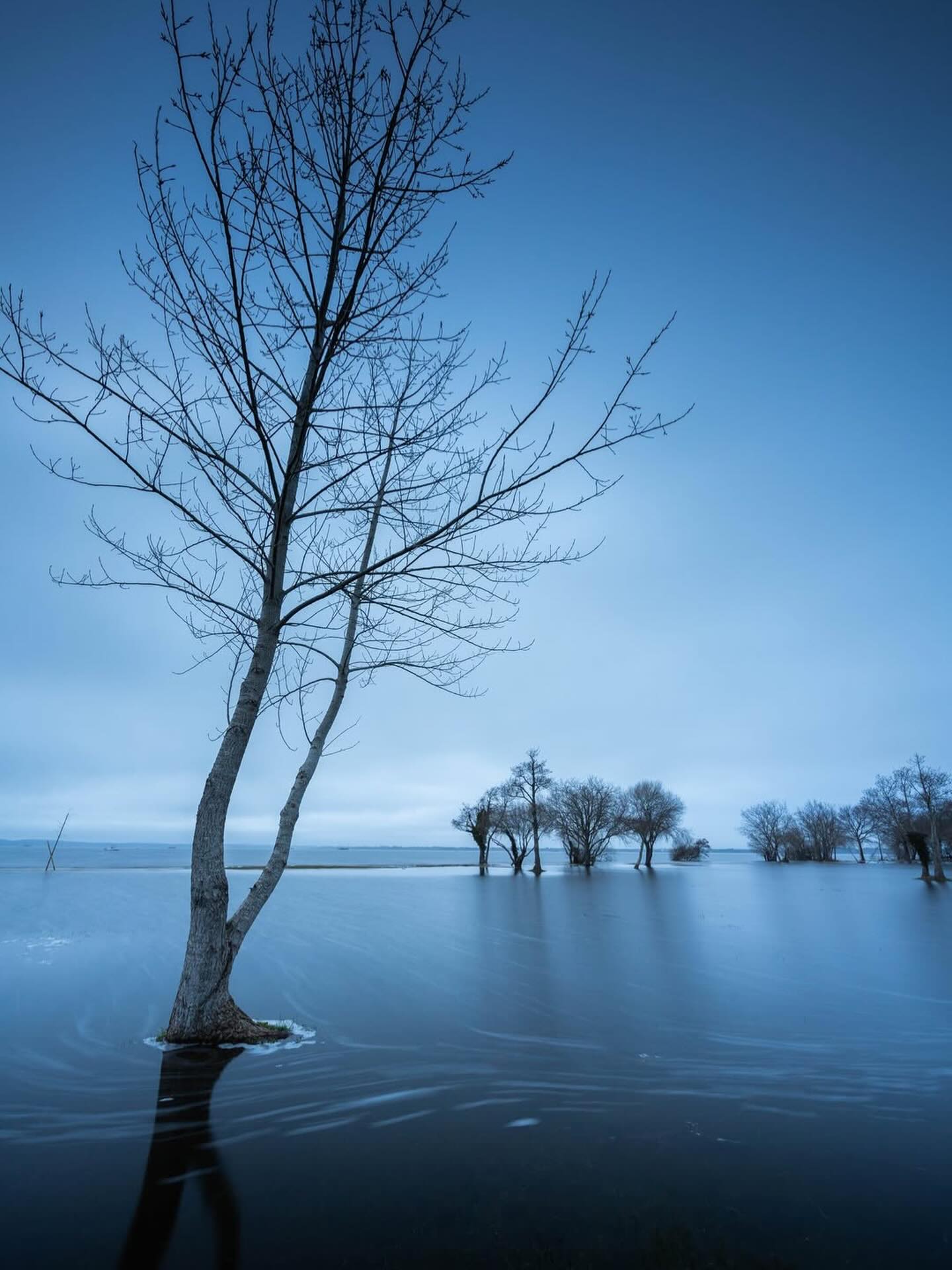 Le combo ND + GND pour sublimée la montée des eaux.
📸 @tatiana.mgn
Pour lisser la surface du lac et isoler cet arbre dans une ambiance minimaliste, l’empilement de filtres (staking) est la solution.
💠 Le ND64 permet d’atteindre 20s de pose pour adoucir l’eau
💠 Le GND 0.9 vient retenir la luminosité du ciel nuageux.
L’avantage du système magnétique Kase ?
Vous superposez ces deux verres instantanément.
Le résultat : une exposition équilibrée dès la prise de vue, un piqué chirurgical sur les branches dénudées, et aucune dérive colorimétrique sur cette ambiance bleutée grâce aux verres Wolverine.
📍Gastes, Aquitaine
📷 Canon RP
🎛️ 12mm • 20s • f/11
🪟Kase Wolverine ND64 + GND 0.9