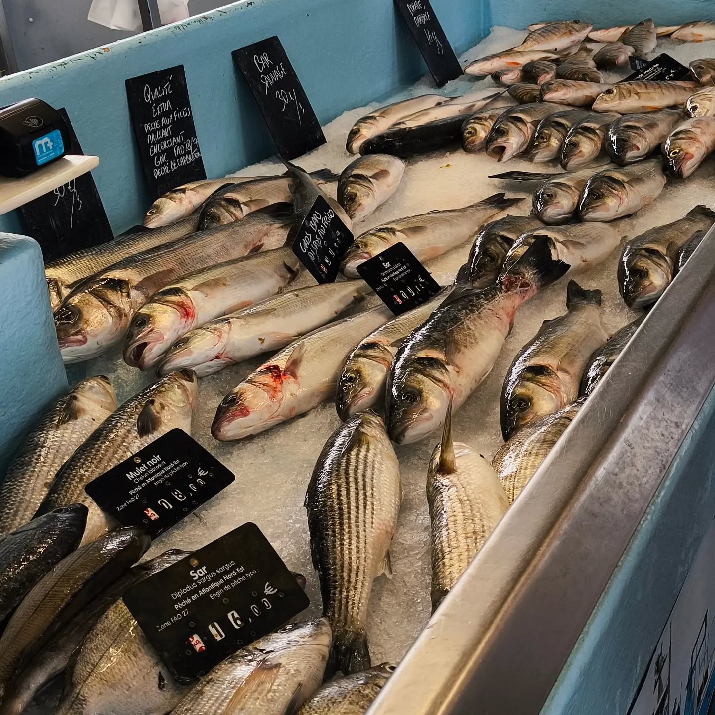 🐟🌊 Ce matin, petite visite du marché au poisson de Capbreton ou se réunissent quotidienne 19 marins pêcheurs.
Même si le poisson reste assez rare sur notre carte, difficile de ne pas avoir envie de se rapprocher un peu plus de l'océan devant un tel étalage 🤩
Bar sauvage, mulet noir, dorades... de quoi donner des idées pour les prochaines semaines !
🦐 Mention spéciale aux magnifiques langoustines aperçues ce matin, fraîchement débarquées du golf de Gascogne. Un vrai régal pour les yeux.
Parce qu'avant d'arriver dans l'assiette, il y a aussi ces rencontres, ces découvertes et ces moments qui nourrissent notre inspiration.
#LesTablesGourmandes #Vacances #ProduitsDeLaMer