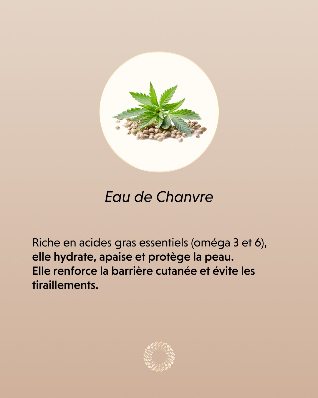 Intensifier l'éclat de l'été, le soin en plus.
Pour ceux qui ont déjà initié leur bronzage au soleil et souhaitent lui donner plus d'intensité, le Spray Bronzant Intense + est l'allié idéal. Il vient rehausser et approfondir le hâle naturel en un instant.
Sa particularité ? Une formule infusée à l'eau de chanvre qui nourrit et apaise la peau en profondeur. Le réflexe parfait pour maximiser sa couleur estivale tout en apportant le confort et l'hydratation dont l'épiderme a tant besoin à cette période.#botancosmetics #eaudechanvre #bronzagesanssoleil #spraytan #institutdebeaute